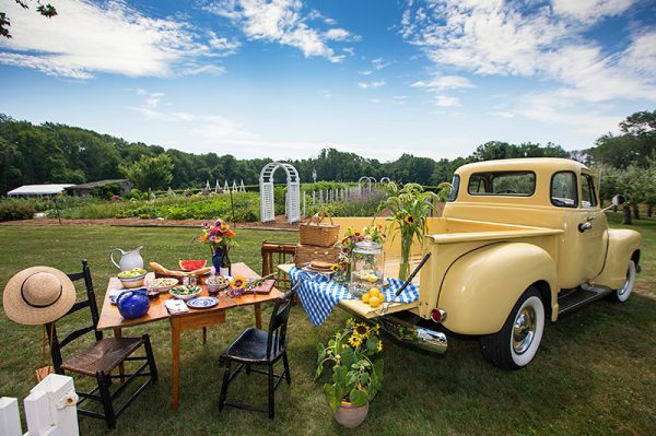 Picnic at the Farm 800